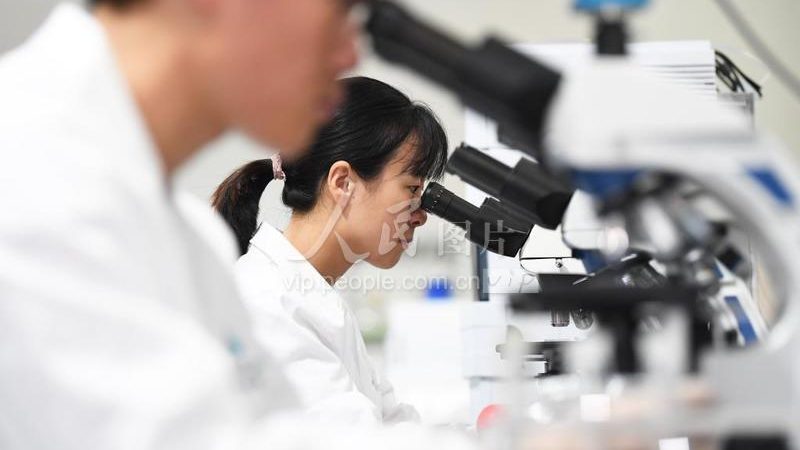 高校实验耗材：如何选择合适的供应商**