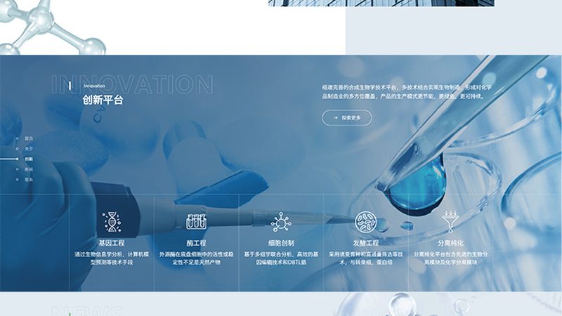 小分子CDMO价格背后的考量因素**