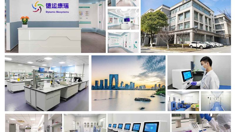 磷酸化抗体WB二抗匹配：关键因素与选择策略**