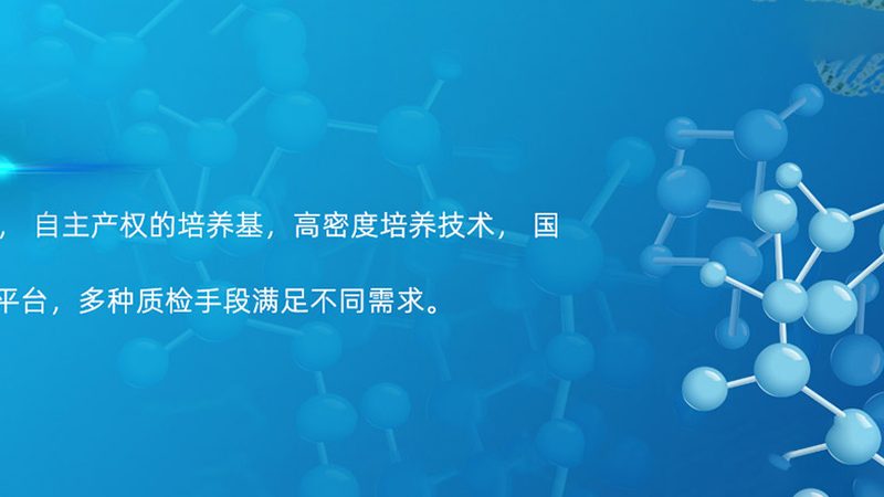 CRO优化培训费用：揭秘医药研发背后的关键投入
