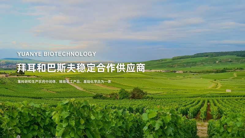 细胞工厂生产资质办理：关键步骤与注意事项**
