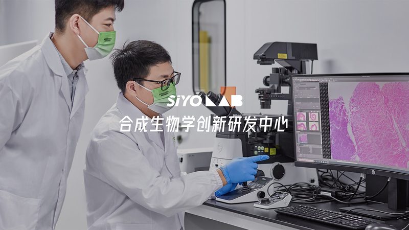 在选择合作伙伴时，要验证其资质，确保其符合国家相关法规要求。以下是一些关键资质：