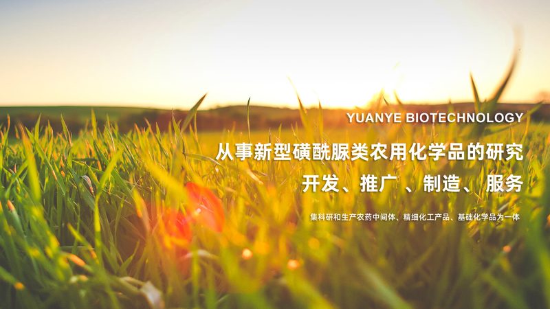 小标题：CRO优化公司的作用