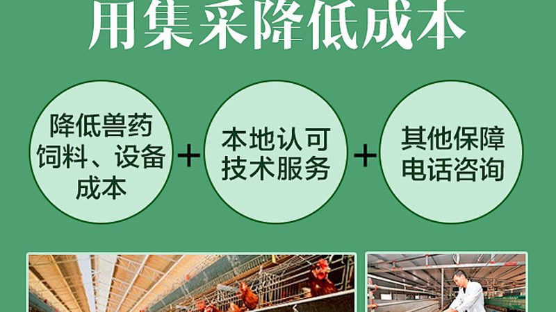上海CDMO公司报价，哪些因素影响成本？**