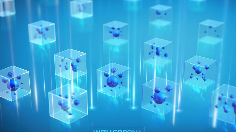 细胞培养实验方案：构建高效科研的基石**